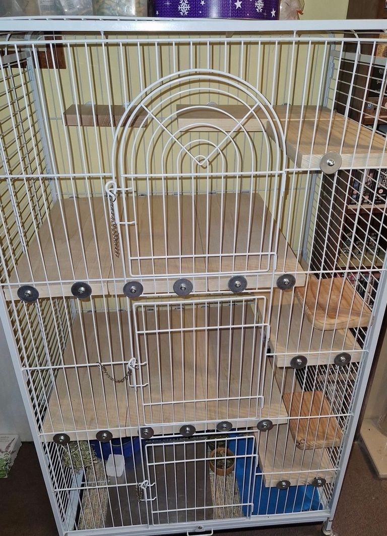 Custom orders chinchilla ledges cage accessories degu ledges